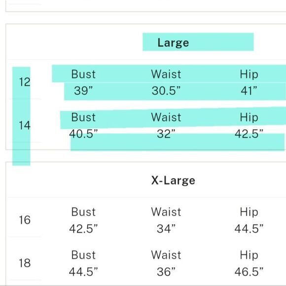 VS Archives Burnout Black Satin Slip Dress Size L New with Tags - Picture 5 of 5